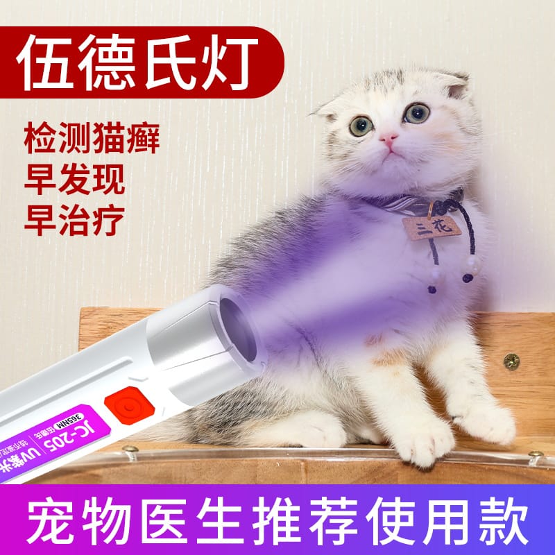 Handheld LED UV Money Detector for Fake and Checker for Counterfeit Fake Banknotes